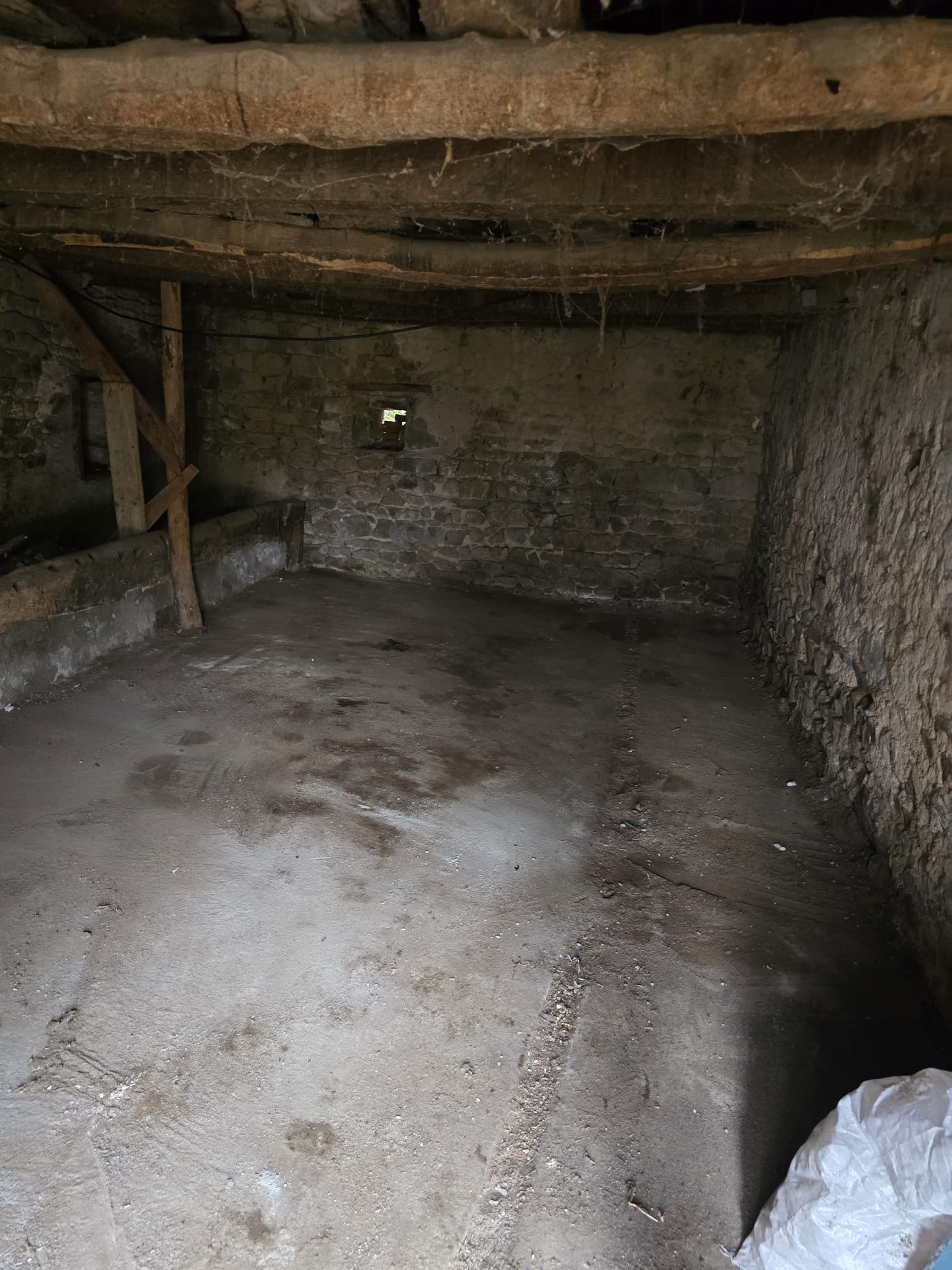 Débarras de cave encombrée